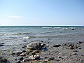 Western Michigan [2010] 798